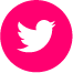 twitter icon